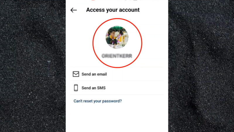 Screenshot showing Instagram account access options for password recovery